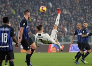 开云官网-关于前锋射手迎来生涯巅峰，夺冠路上助力的信息