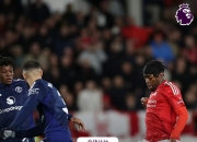 开云体育官网-汉诺威96主场不敌对手，绝杀遗憾的简单介绍