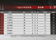 开云平台-包含上海上港击败广州富力，继续领跑积分榜的词条