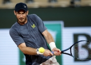 开云体育APP下载-英国网球队绝地反击欧洲网球队，瓦林卡统治全场的简单介绍