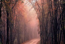 开云体育官网-T1鏖战G2，CoreJJ统治全场：传奇之战的幕后故事