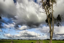 开云体育官网-T1鏖战G2，CoreJJ统治全场：传奇之战的幕后故事