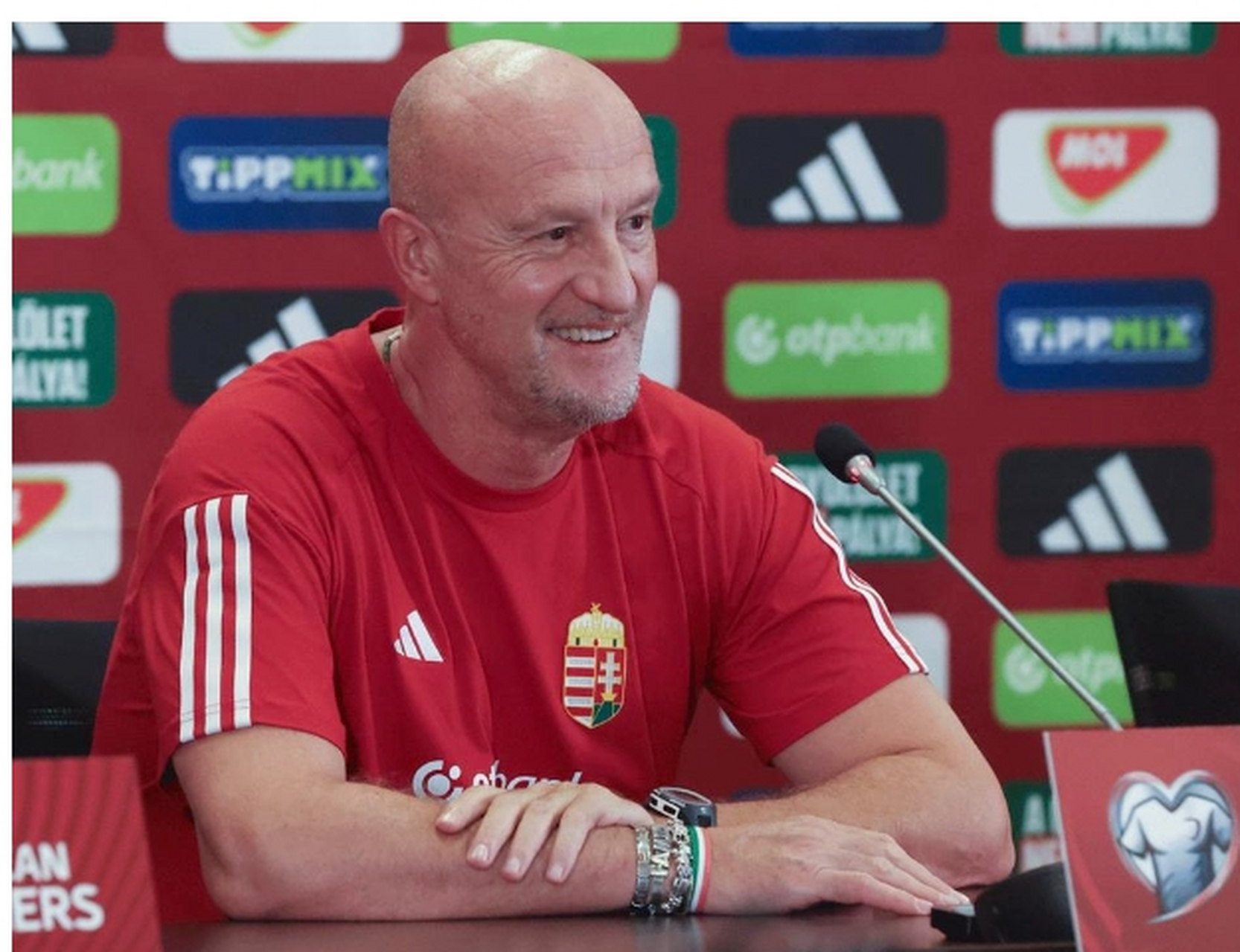 匈牙利战胜塞尔维亚,迈向欧洲杯 匈牙利战胜塞尔维亚,迈向欧洲杯