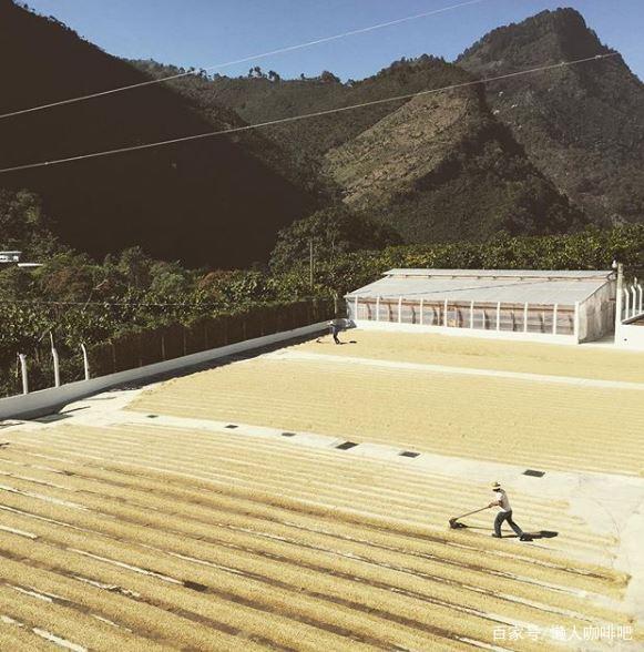 危地马拉选手再获冠军,自行车比赛收获丰硕的简单介绍 危地马拉选手再获冠军,自行车比赛收获丰硕的简单介绍