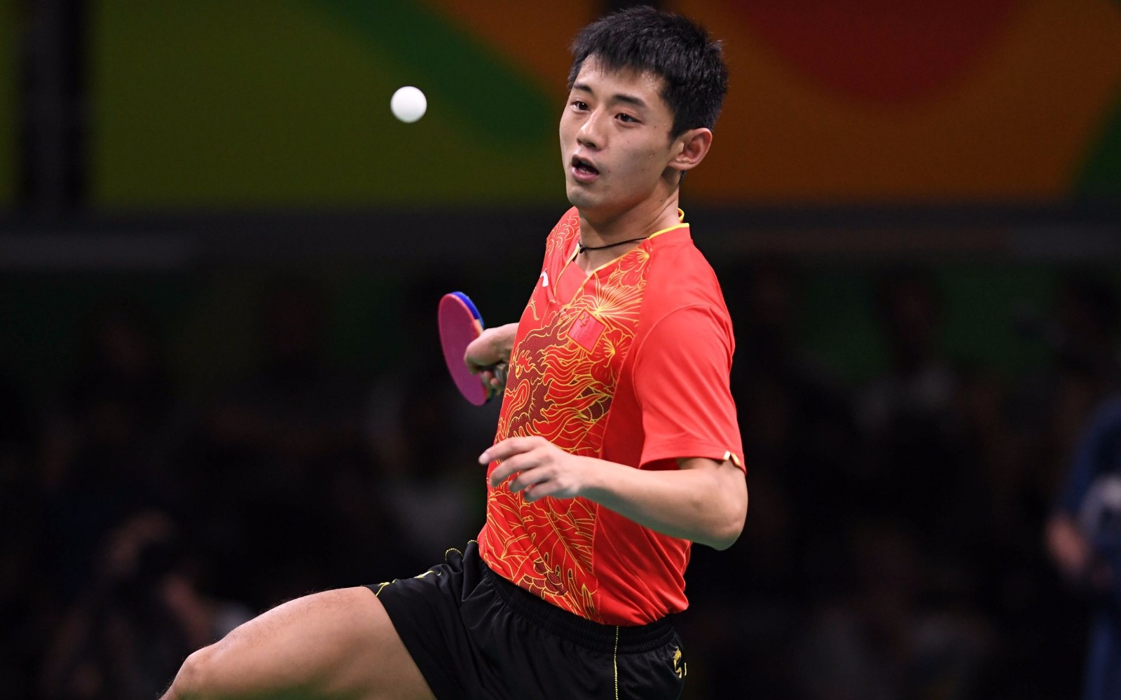 奥地利队轻取英格兰队,张继科带队取胜 奥地利队轻取英格兰队,张继科带队取胜